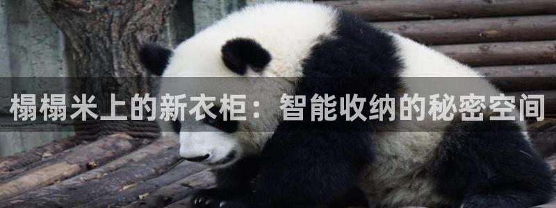 天辰娱乐游戏
