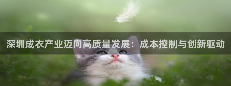 天辰娱乐上级