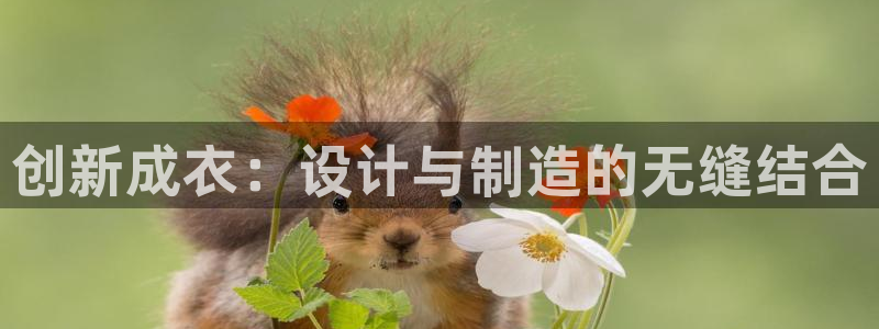 天辰娱乐60447