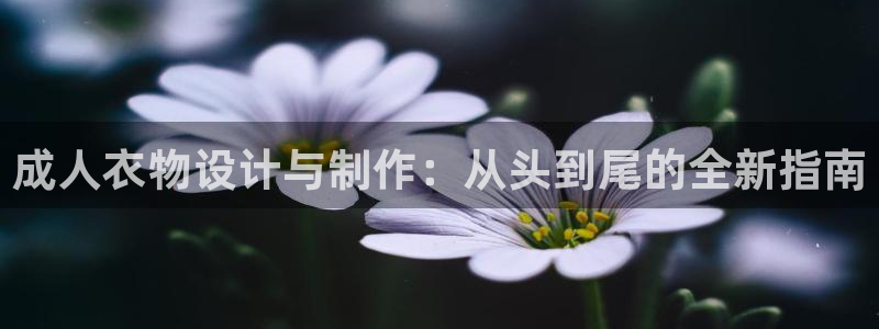 天辰娱乐的网址首页