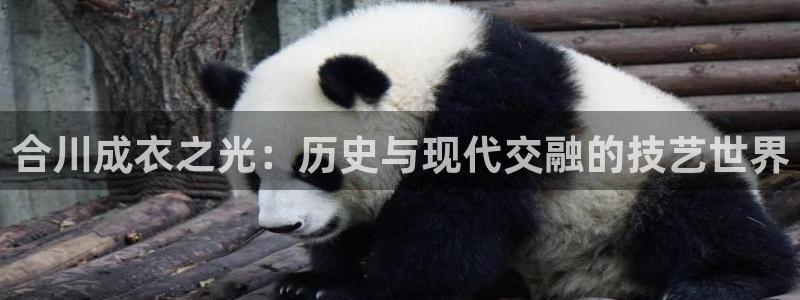 天辰娱乐平台地址在哪里