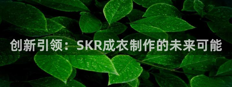 天辰娱乐51137
