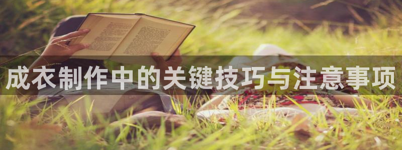 天辰臣娱乐
