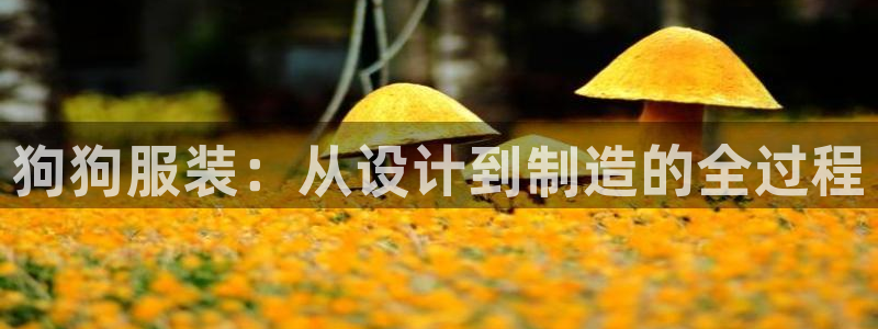 天辰娱乐728567