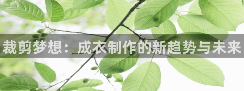 天辰娱乐平台安全吗