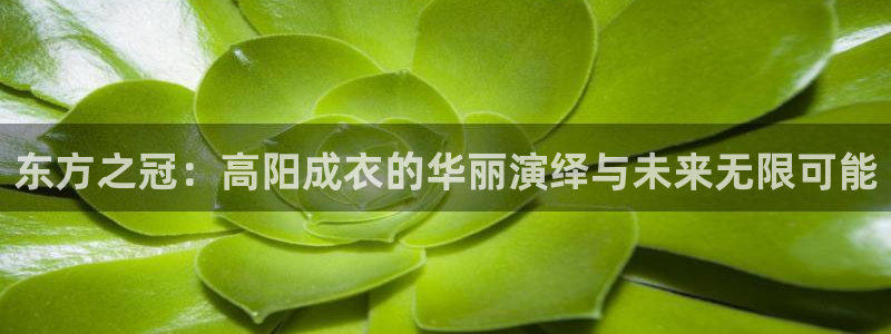 天辰娱乐说