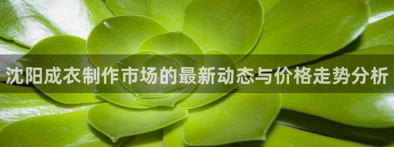 天辰娱乐22650