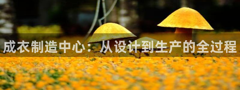 深圳天辰娱乐