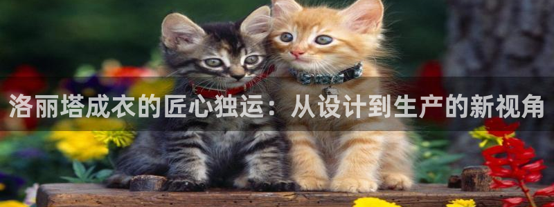 天辰娱乐招商