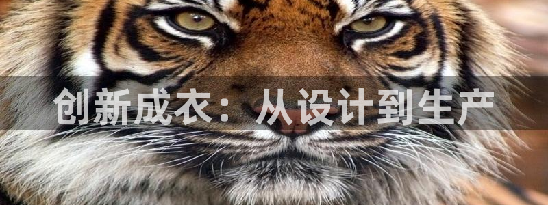 天辰娱乐60447
