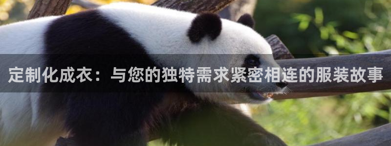 天辰娱乐线路