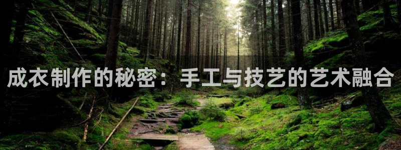 天辰娱乐官网平台入口