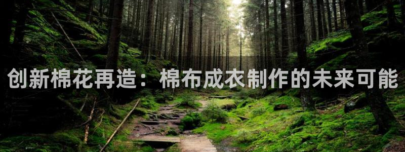 天辰娱乐平台地址