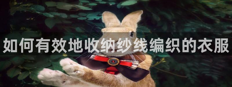 天辰娱乐39974神