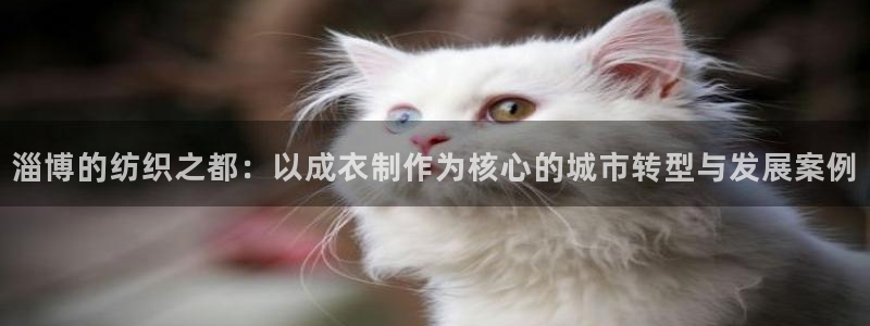 天辰天富娱乐登录