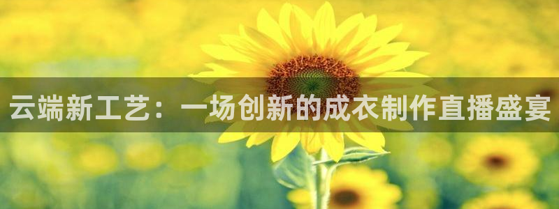 天辰娱乐官网平台入口